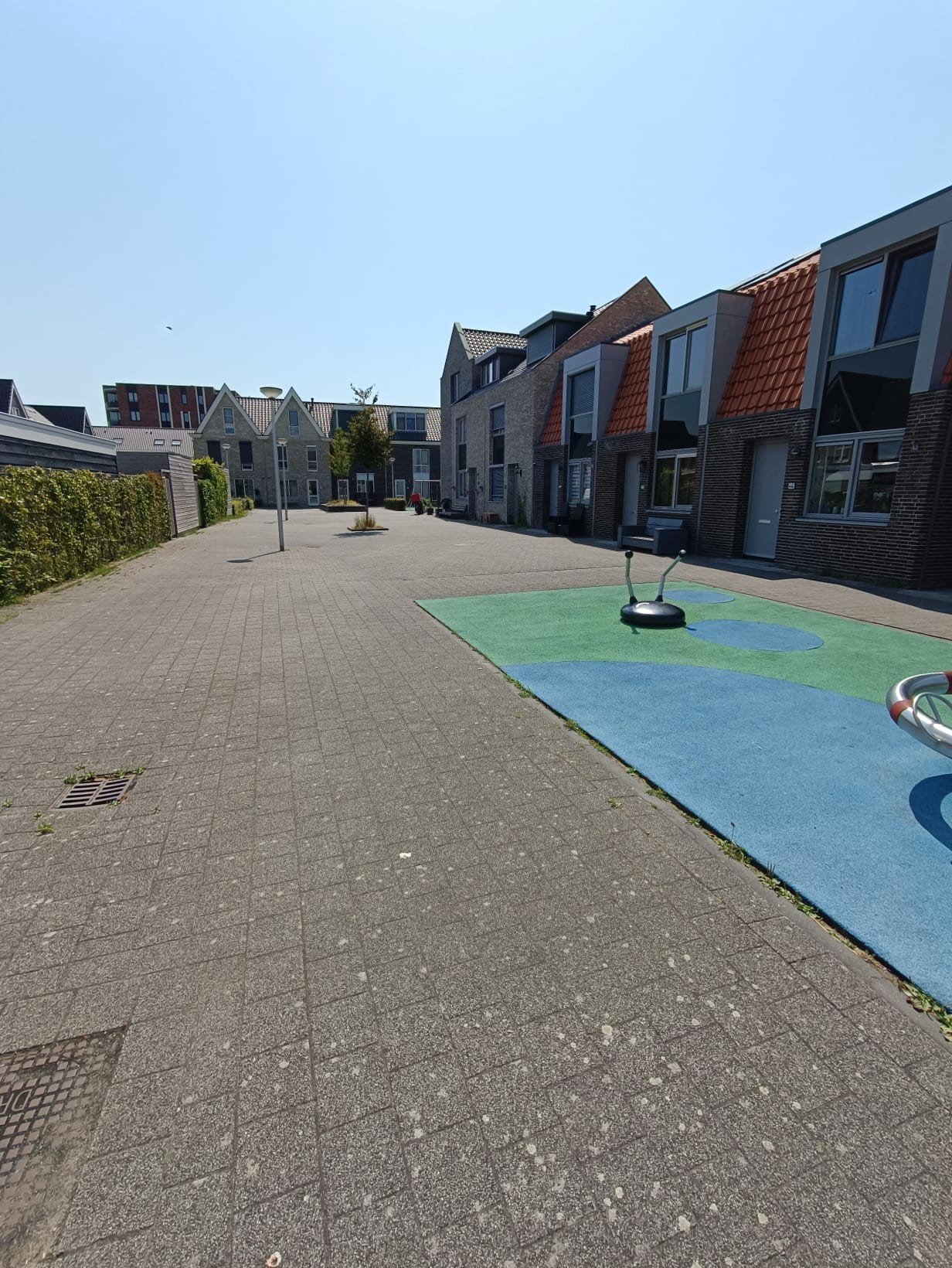Foto plein Boterbloem Bodegraven