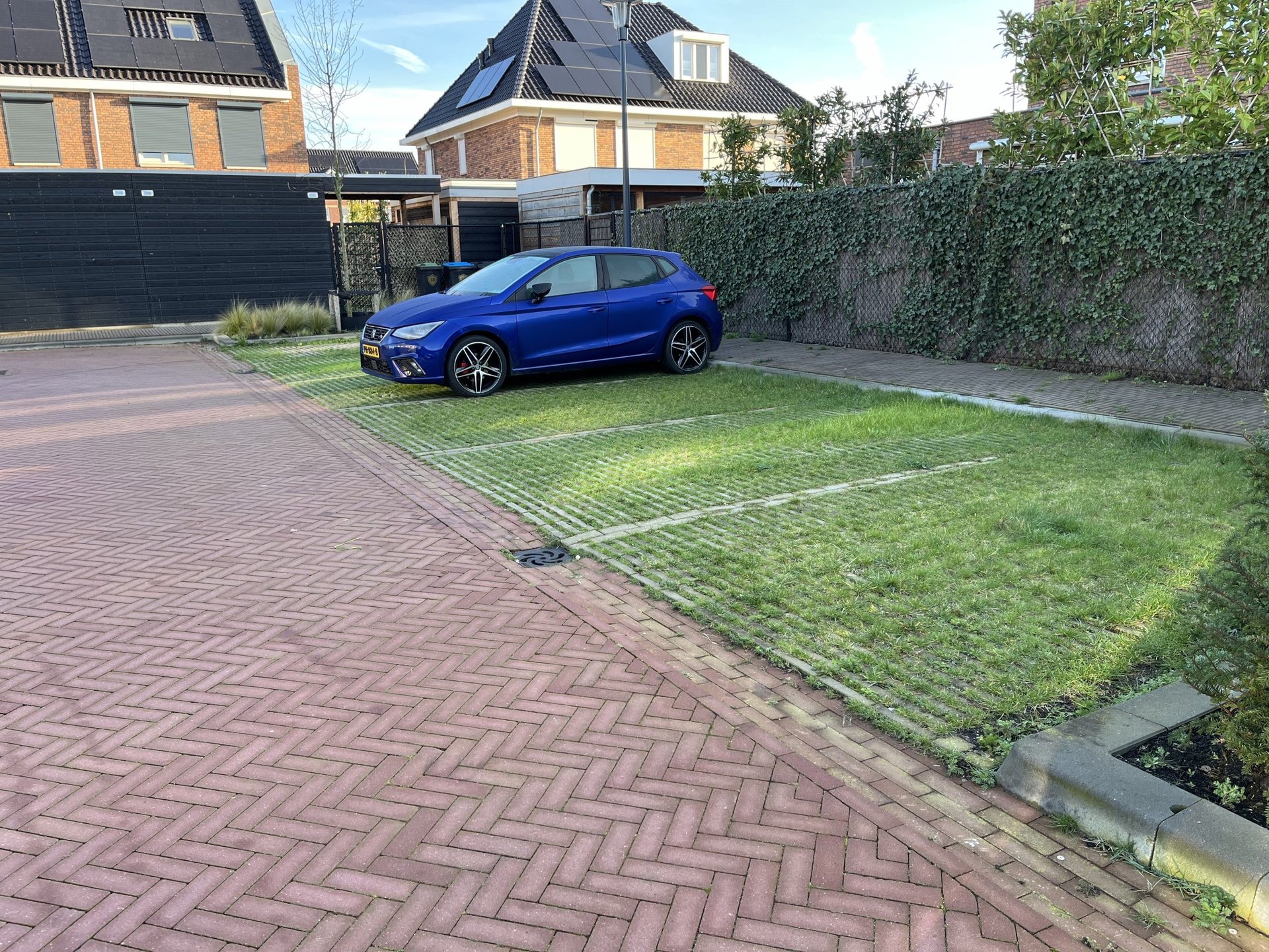 Foto sfeerimpressie doorgroeibare bestrating 
