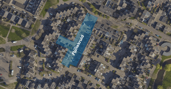 Projectgebied Fluitekruid